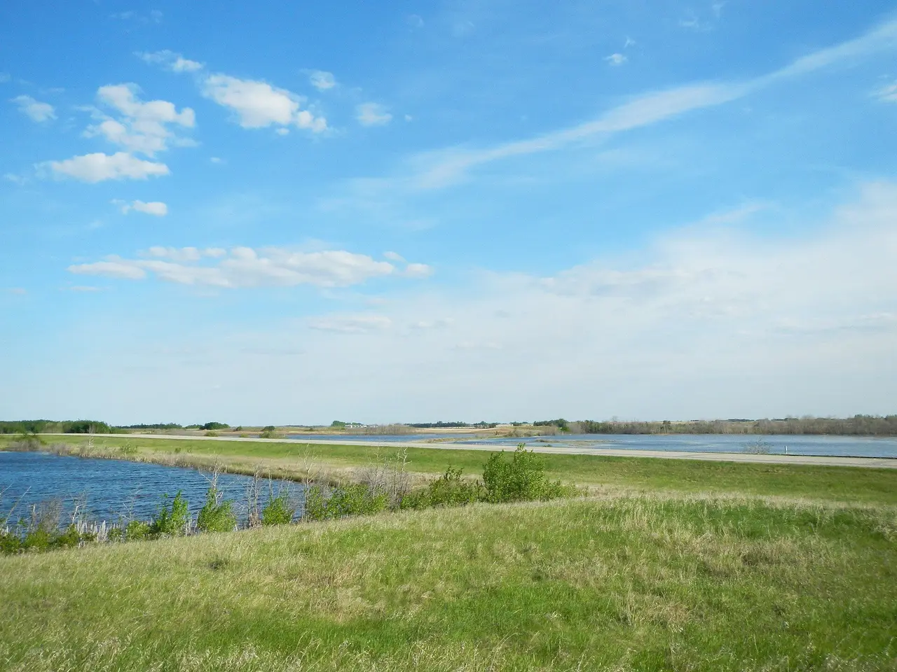 Prairie wetlands and grassland, 2013
