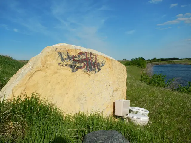 Painted boulder and discarded toilet beside a slough